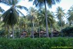 PICT1128.jpg