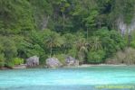 PICT1153.jpg