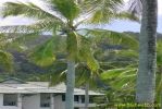PICT1202.jpg