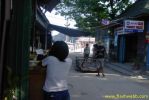 PICT1220.jpg