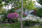 PICT1237.jpg