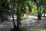 PICT1268.jpg