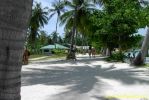 PICT1284.jpg