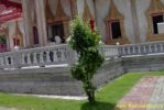 PICT1384.jpg