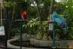 PICT1402.jpg