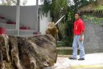 PICT1407.jpg