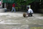 PICT1412.jpg