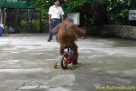 PICT1418.jpg