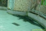 PICT1438.jpg