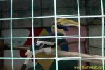 PICT1457.jpg