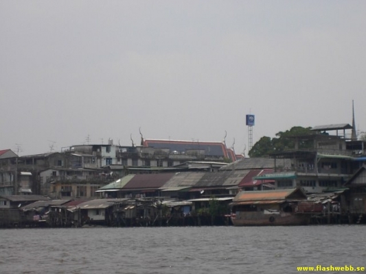 PICT2597.jpg
