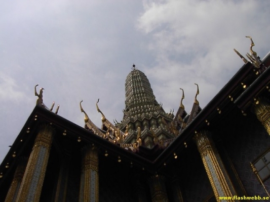 PICT2626.jpg