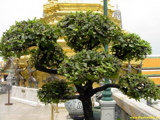 PICT2628.jpg