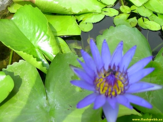 PICT2656.jpg