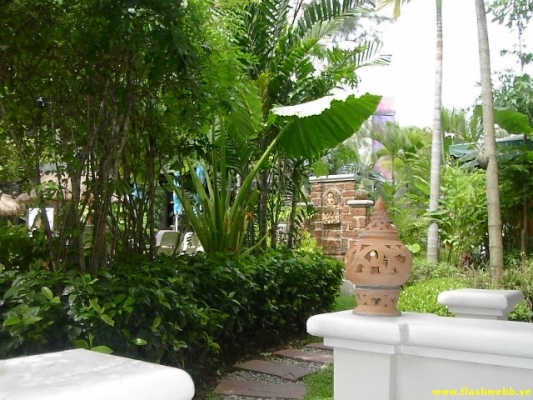 PICT2684.jpg
