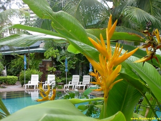 PICT2733.jpg