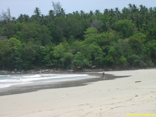 PICT2802.jpg