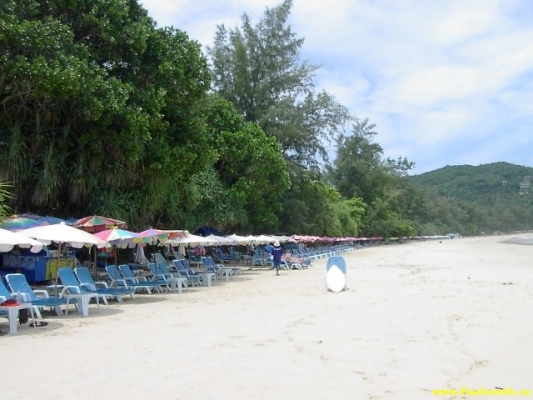 PICT2804.jpg
