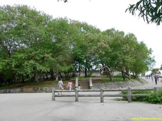 PICT2828.jpg