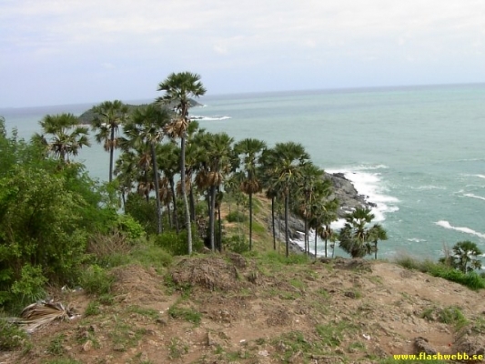 PICT2832.jpg