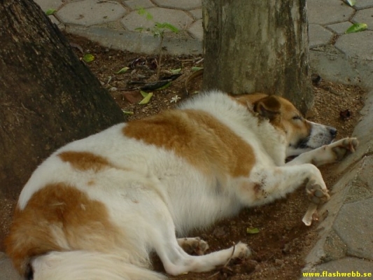 PICT2851.jpg