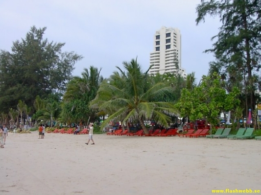 PICT2908.jpg