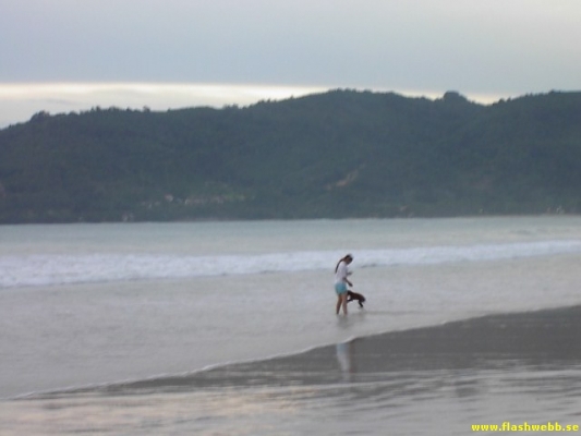PICT2912.jpg