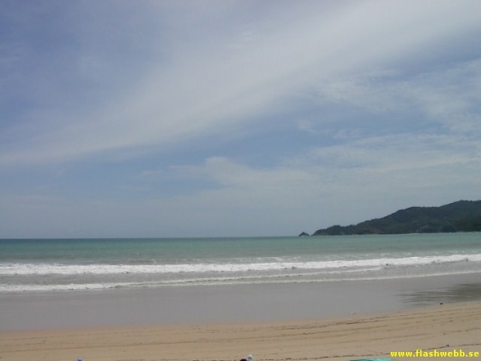 PICT2919.jpg