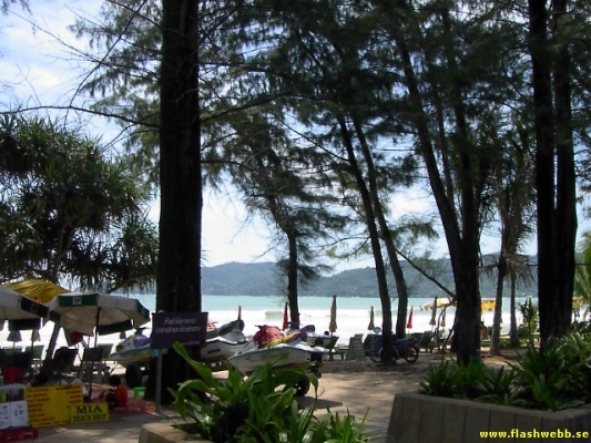 PICT2954.jpg