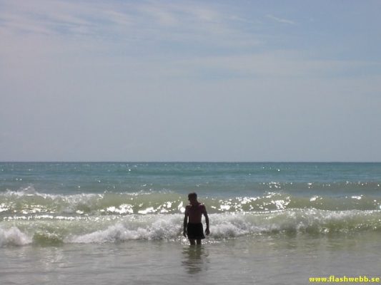 PICT2959.jpg