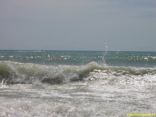 PICT2964.jpg