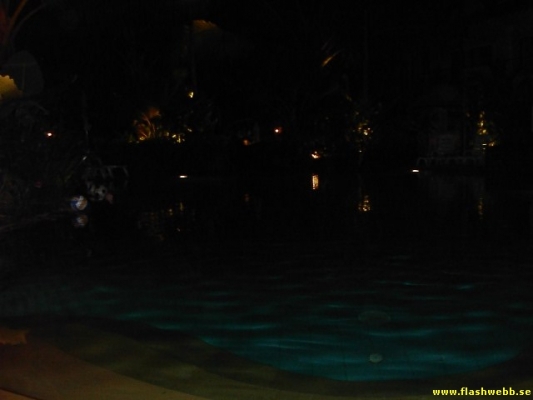 PICT3001.jpg