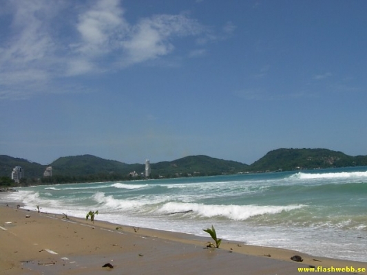PICT3021.jpg