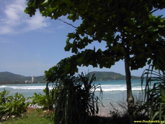PICT3022.jpg