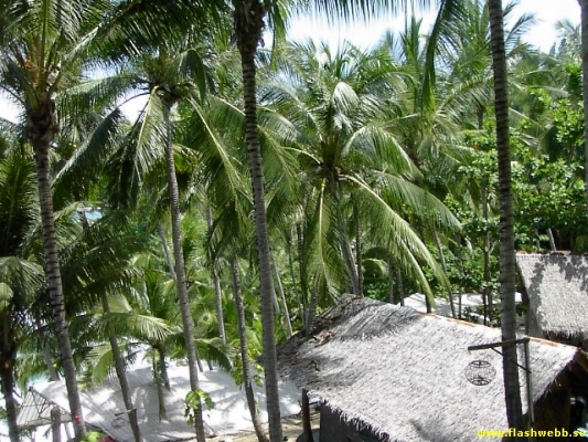 PICT3027.jpg