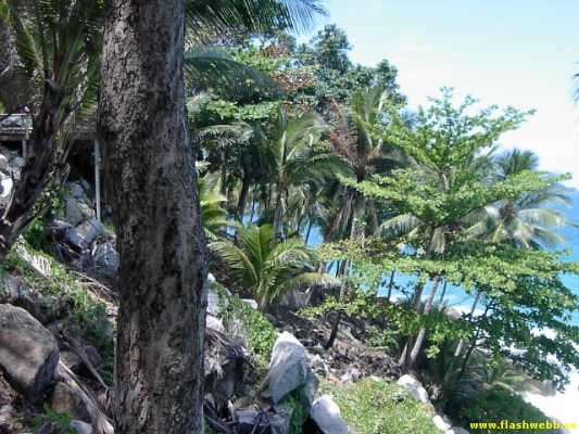 PICT3028.jpg