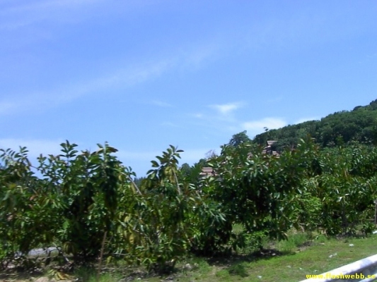 PICT3033.jpg