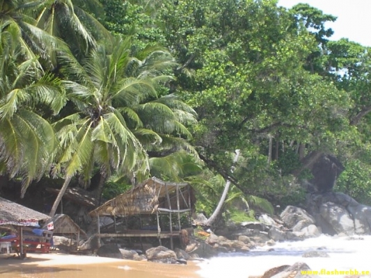 PICT3044.jpg