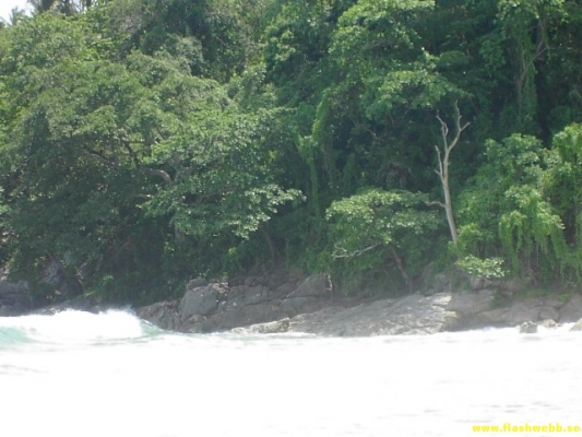 PICT3045.jpg
