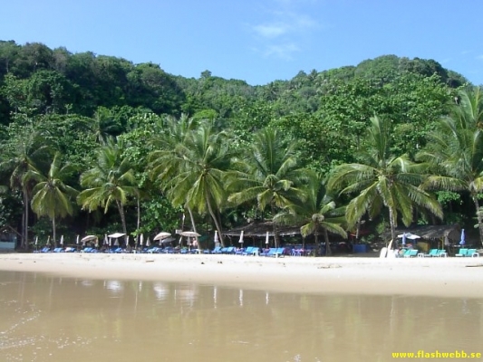 PICT3052.jpg