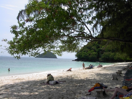 PICT3096.jpg