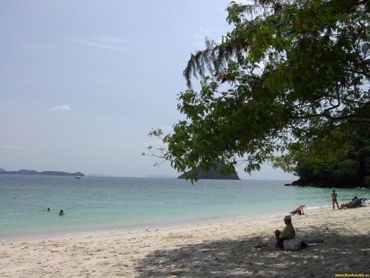 PICT3099.jpg