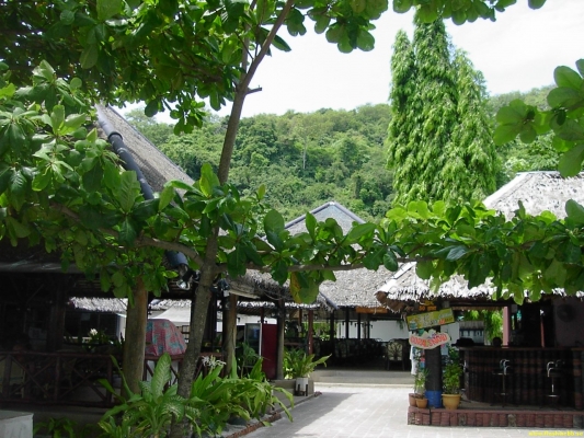 PICT3109.jpg