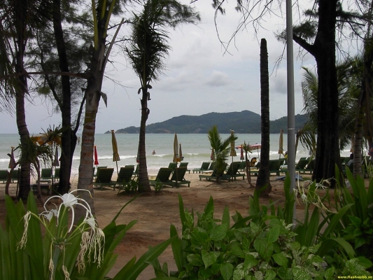 PICT3115.jpg