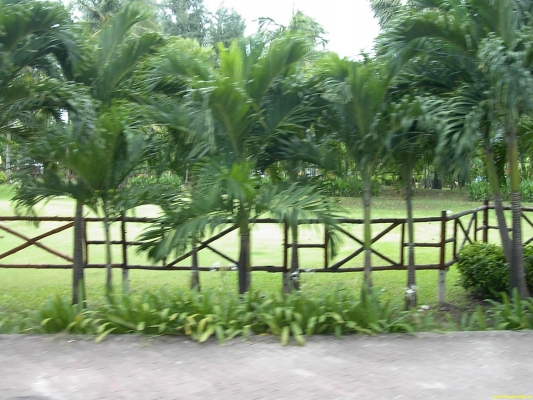 PICT3124.jpg
