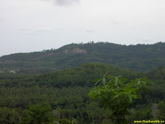 PICT3130.jpg