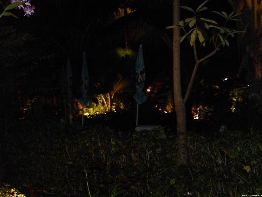 PICT3143.jpg
