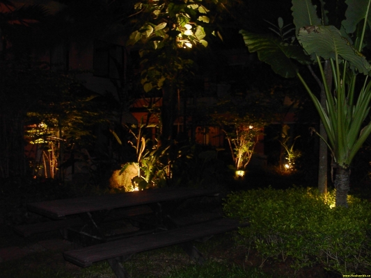 PICT3145.jpg