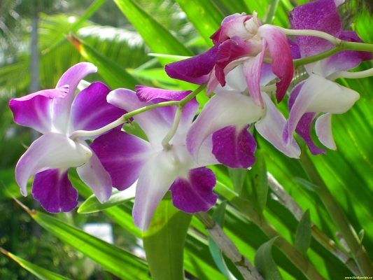 PICT3221.jpg