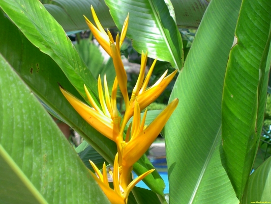 PICT3224.jpg